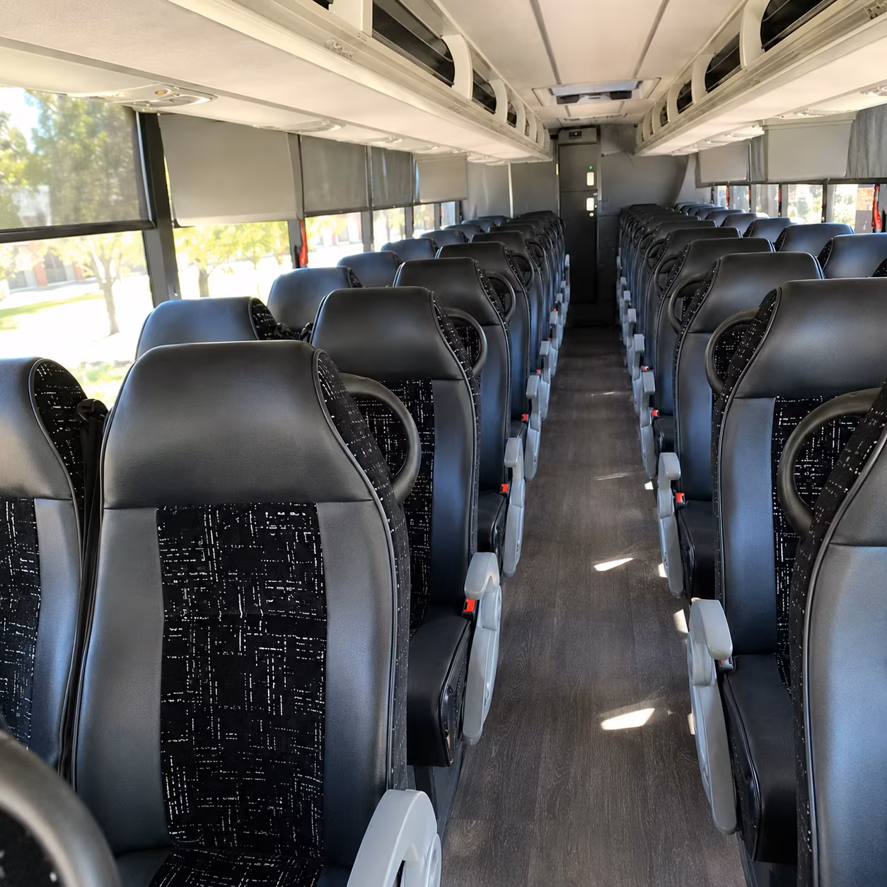 mesa charter bus tours to saguaro national park and zion national park
